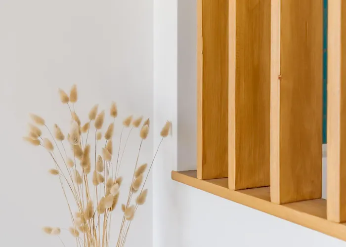 L'estacade - Proche De La 圣让-德蒙